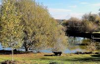 Etang de pêche des cottages de charme du domaine de Louveraude avec piscine, tennis et parc paysagé en Nouvelle Aquitaine